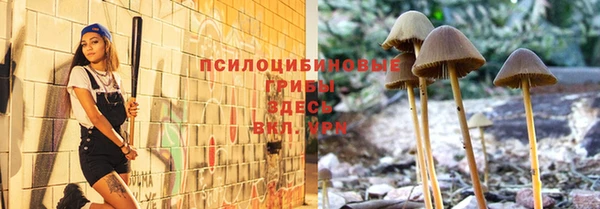 ПСИЛОЦИБИНОВЫЕ ГРИБЫ Алзамай