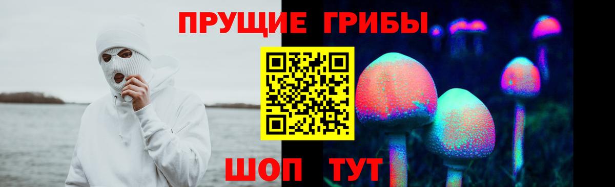 Галлюциногенные грибы мухоморы Фрязино